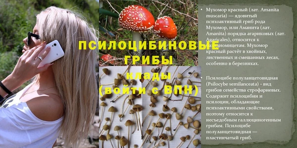 тгк Костерёво