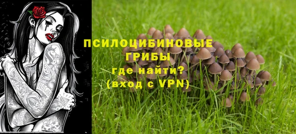 тгк Костерёво