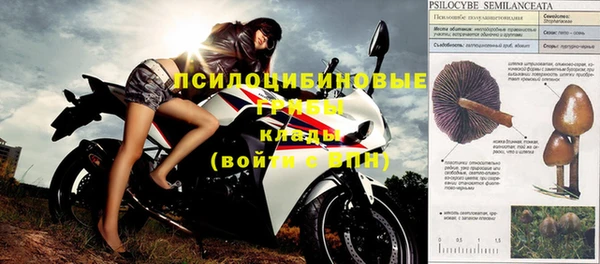 тгк Костерёво